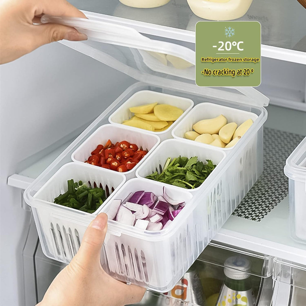Multi Compartment Storage Box